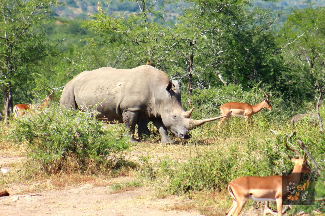 Lodge Afrique Сент-Люсія Екстер'єр фото