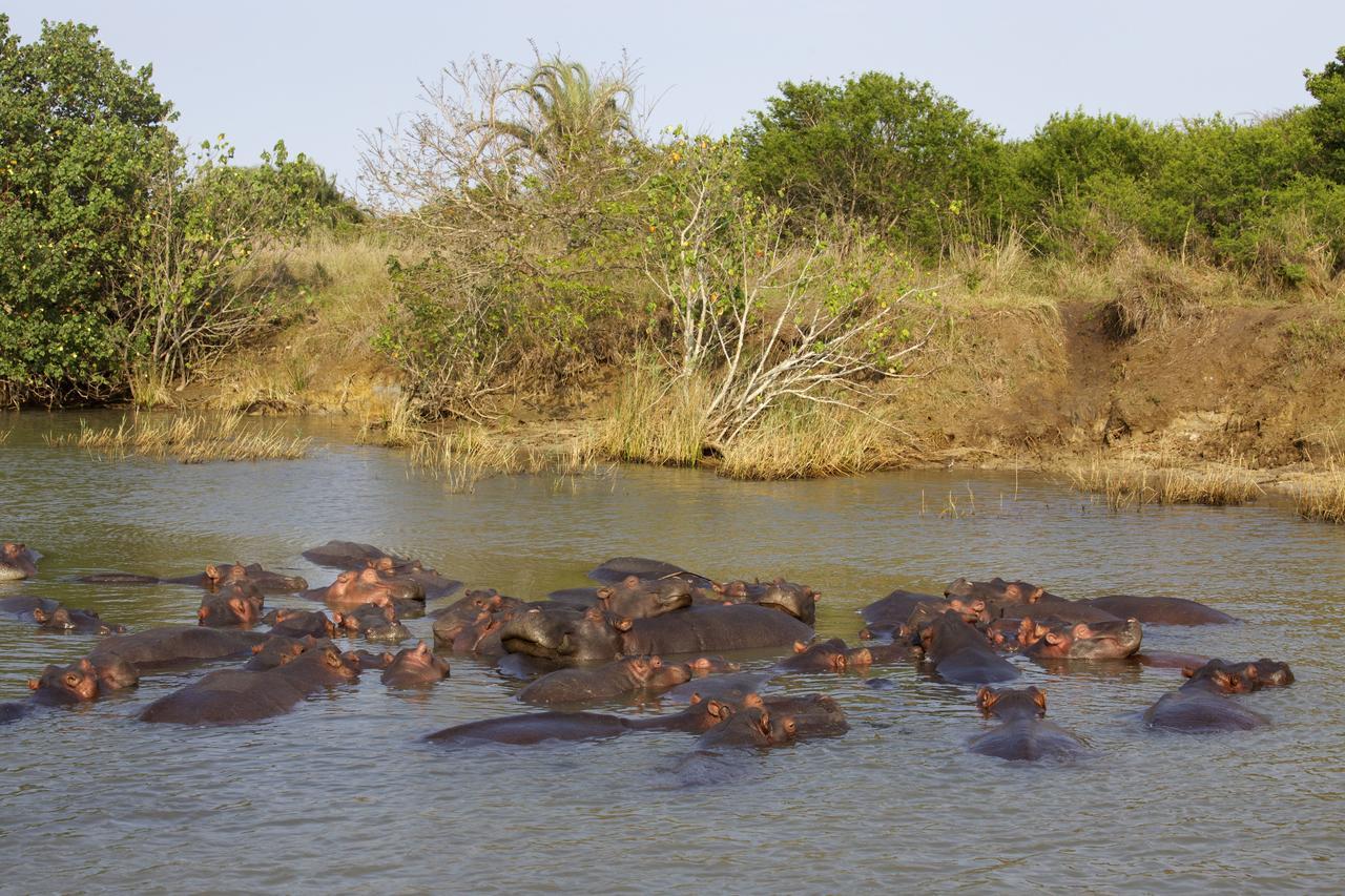 Lodge Afrique Сент-Люсія Екстер'єр фото